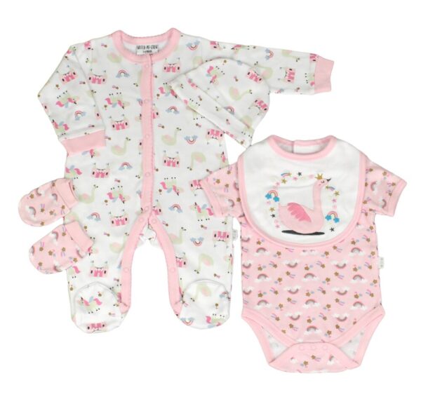 Baby Girls Pink Swan 5 Piece Clothing Net Bag Set